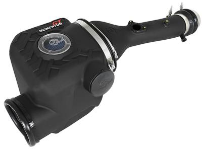 MOMENTUM GT INTAKE