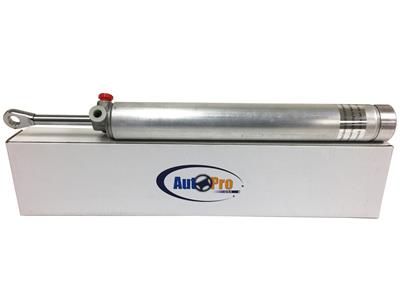 CONVERTIBLE & T-TOP COMPONENTS
