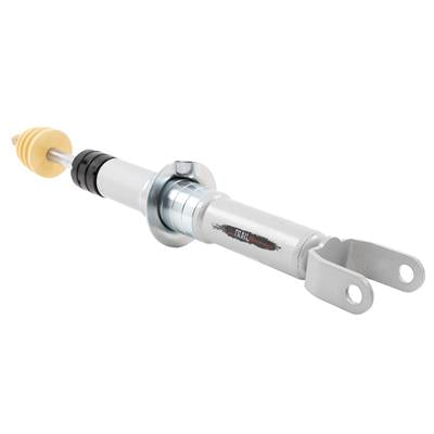 SHOCKS AND STRUTS