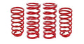 LOWERING SPRING KIT