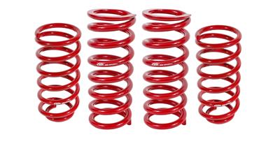 LOWERING SPRING KIT
