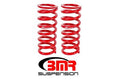 LOWERING SPRING KIT