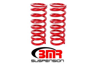 LOWERING SPRING KIT