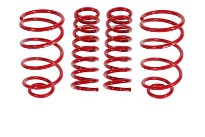 LOWERING SPRING KIT