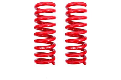 REAR LOWERING SPRIINGS
