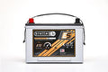 AGM BATTERIES