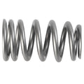 Ford Performance Parts Ford Racing PAC 1219X Valve Spring - Single (for M-6049-Z304DA)