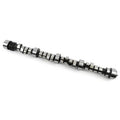 CAMSHAFT HYD ROLLER CHEVY LT1/