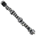 CAMSHAFT HYD ROLLER CHEVY V6