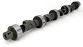 3 BOLT CAM