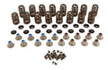 VALVE SPRING KIT
