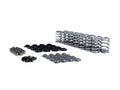 VALVE SPRING KIT