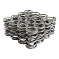 VALVE SPRINGS
