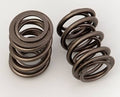 VALVE SPRINGS