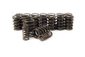 VALVE SPRINGS