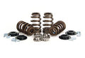 VALVE SPRING KIT  BEEHIVE W/TI