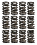 VALVE SPRINGS