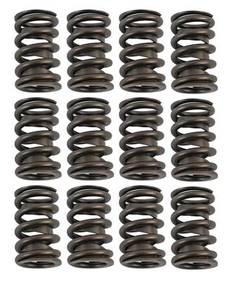 VALVE SPRINGS