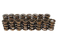 VALVE SPRING