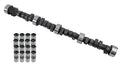 CAM AND LIFTER KIT
