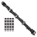 CAM & LIFTER KIT