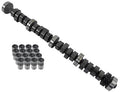 CAM AND LIFTER KIT