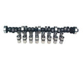 CAM/LIFTER KIT