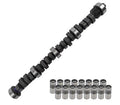 CAMSHAFT AND LIFTER KIT