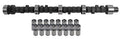 CAM & LIFTER KIT