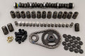 CAM AND LIFTER KIT