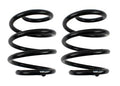 REAR COIL SPRINGS