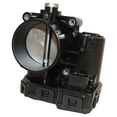THROTTLE BODY