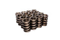 Comp Cams NASCAR SPRINGS