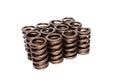 Comp Cams Ovate Wire Springs