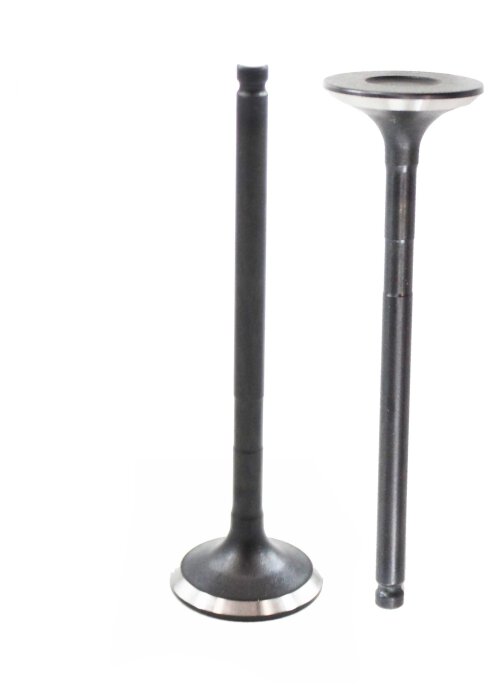 Exhaust Valve 2000-2019 Scion,Toyota 1.5L