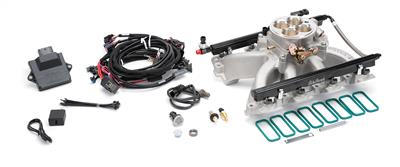 PRO FLO 4 FUEL INJECTION KITS