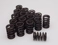 VALVE SPRINGS