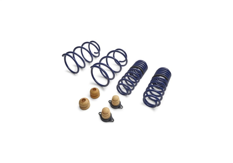 Ford Performance Parts Ford Racing 2012-2013 BOSS 302 Lowering Springs