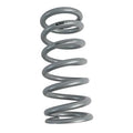 RACE MAIN SPRING