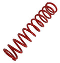 RACE MAIN SPRING