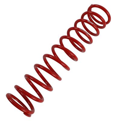 RACE MAIN SPRING