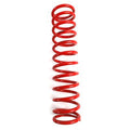 RACE MAIN SPRING