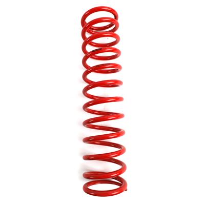 RACE MAIN SPRING