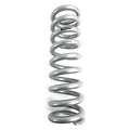 RACE MAIN SPRING
