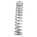 RACE MAIN SPRING