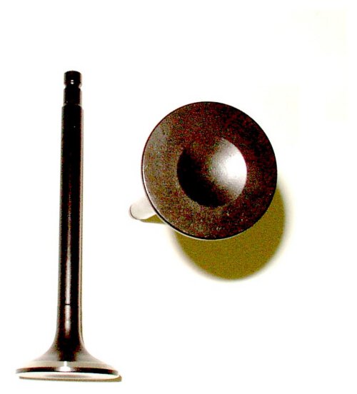 Exhaust Valve 2000-2001 Nissan 2.4L
