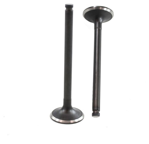 Exhaust Valve 1981-1983 Nissan 2.8L