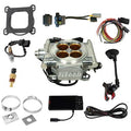 GO EFI FUEL INJECTION SYSTEM