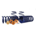 TRACK LOWERING SPRING KIT