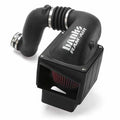RAM-AIR INTAKE SYSTEM